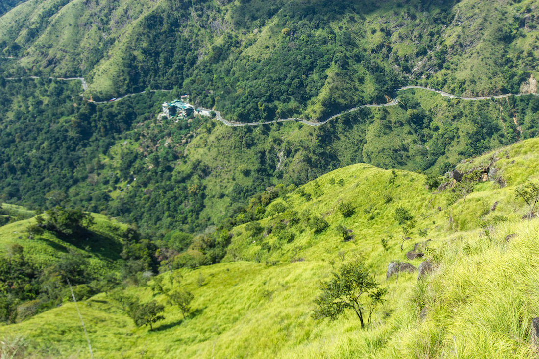 Băng qua những đồi chè xanh mướt ở Sri Lanka - Ảnh 4.