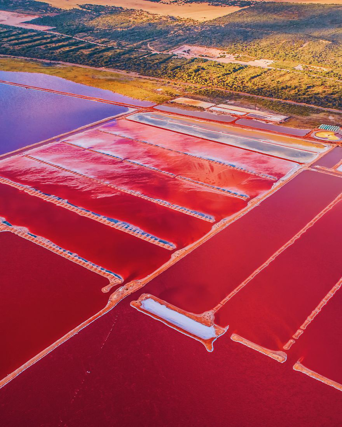Kỳ lạ hồ nước màu hồng, đỏ, cam theo giờ - Ảnh 9.