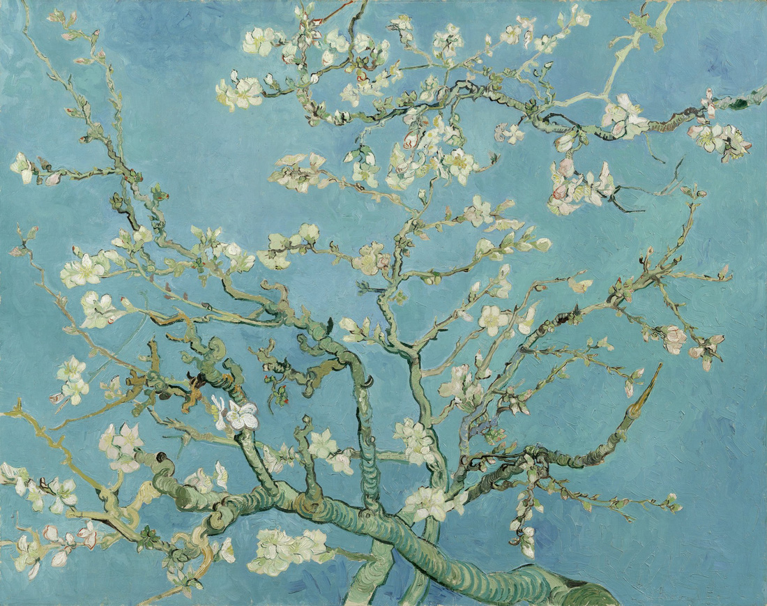 Lần đầu tiên xem tranh Van Gogh phiên bản số ở Việt Nam  - Ảnh 7.