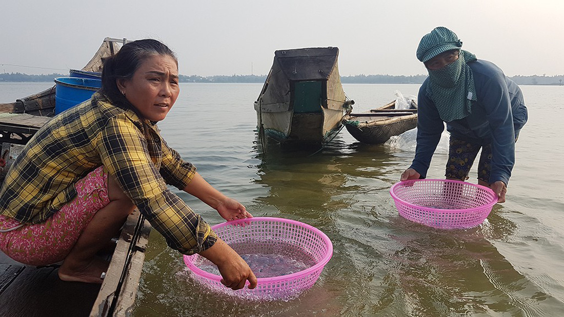 Mùa nuốc bắt đầu, nào bắt con tinh nước lợ - Ảnh 5.