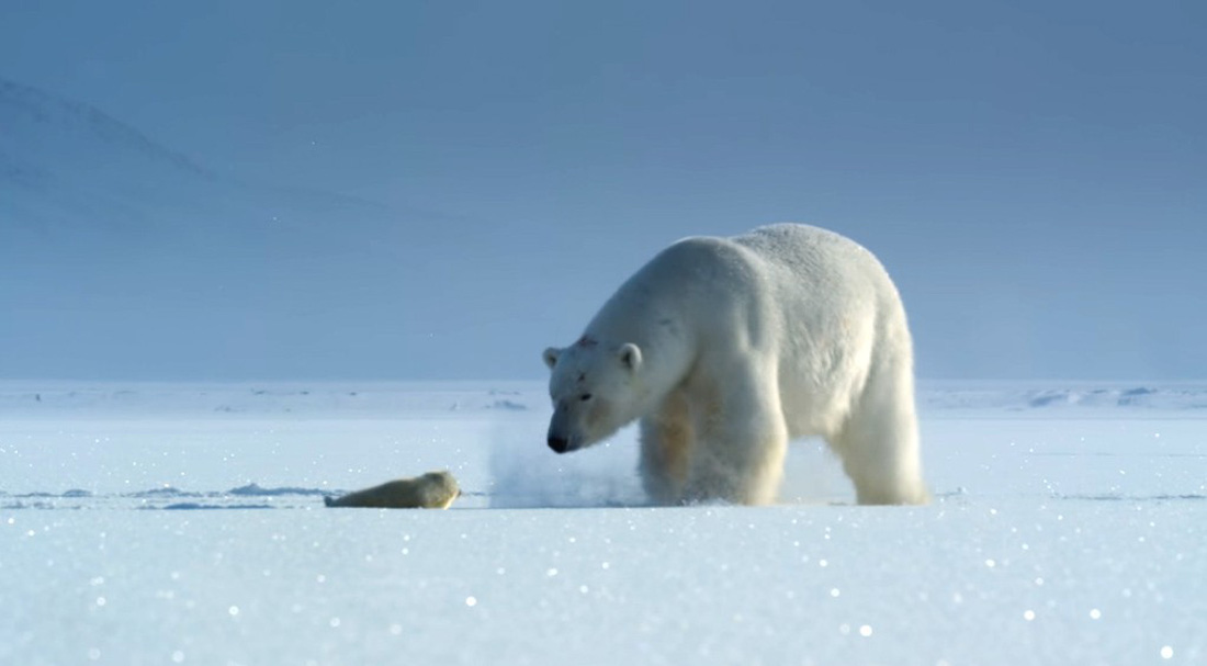 Choáng ngợp và đau đớn những cảnh báo từ loạt phim Our Planet - Ảnh 1.