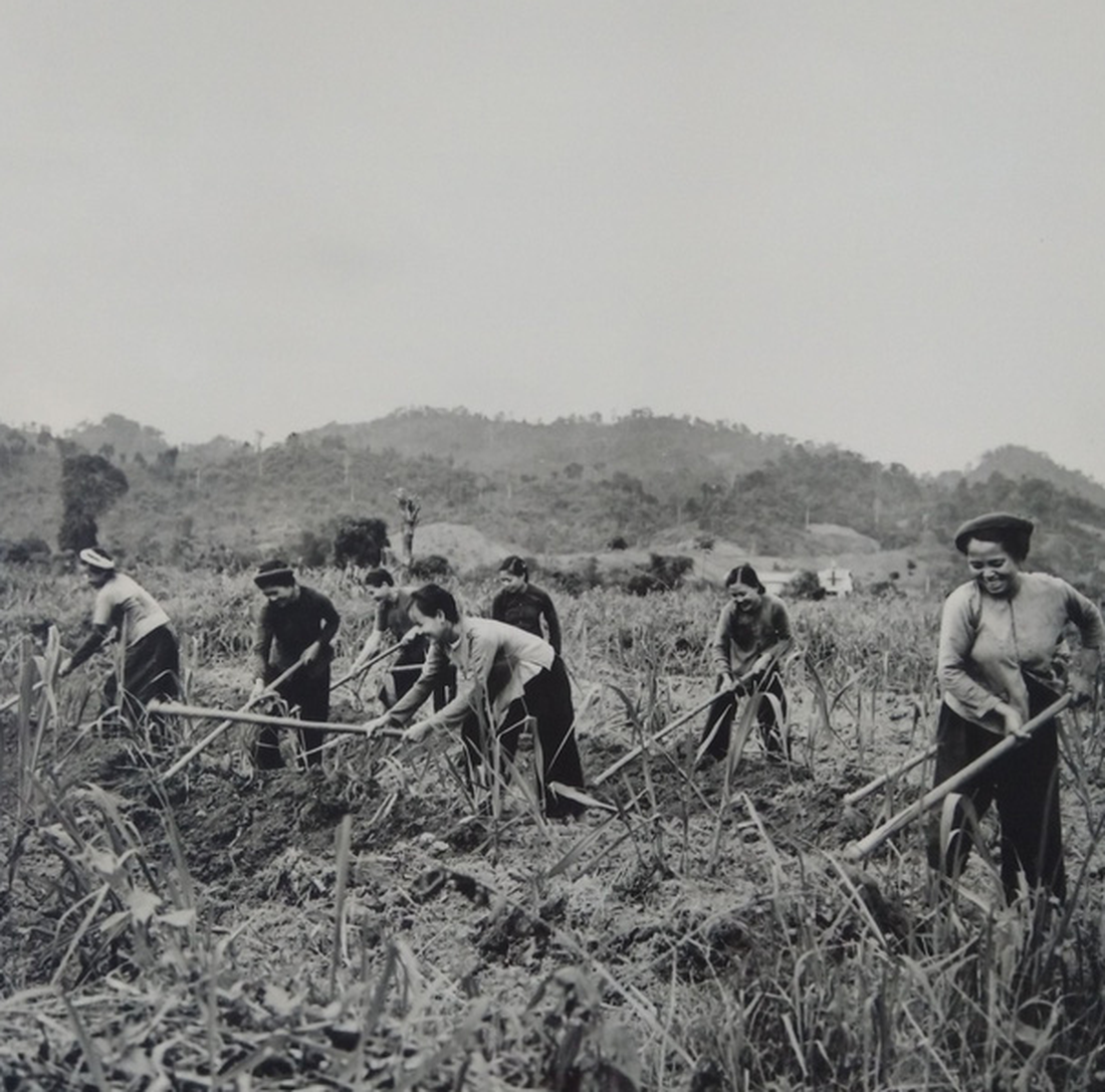 Ảnh quý về miền Bắc nửa thế kỷ trước của nhà báo Wilfred Burchett - Ảnh 11.