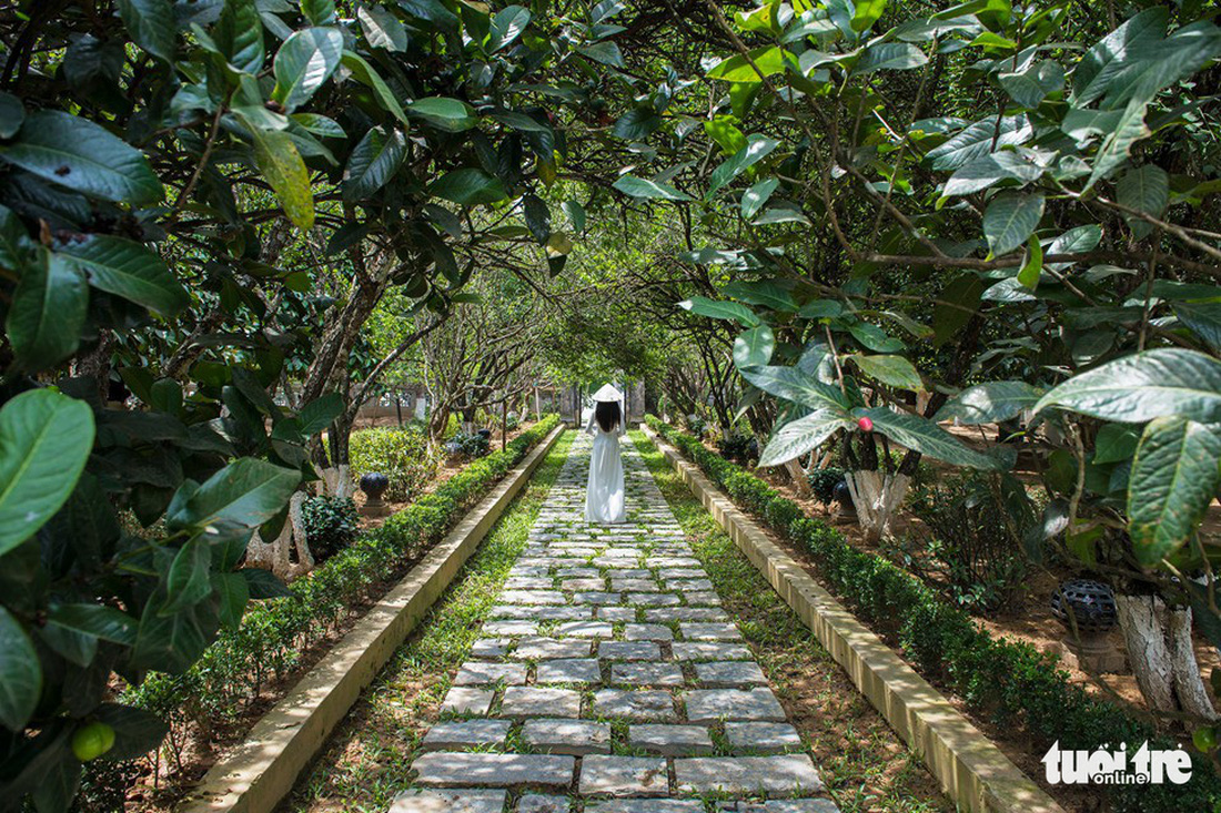 Thăm ngôi nhà vườn đặc sắc nhất xứ Huế - Ảnh 3.