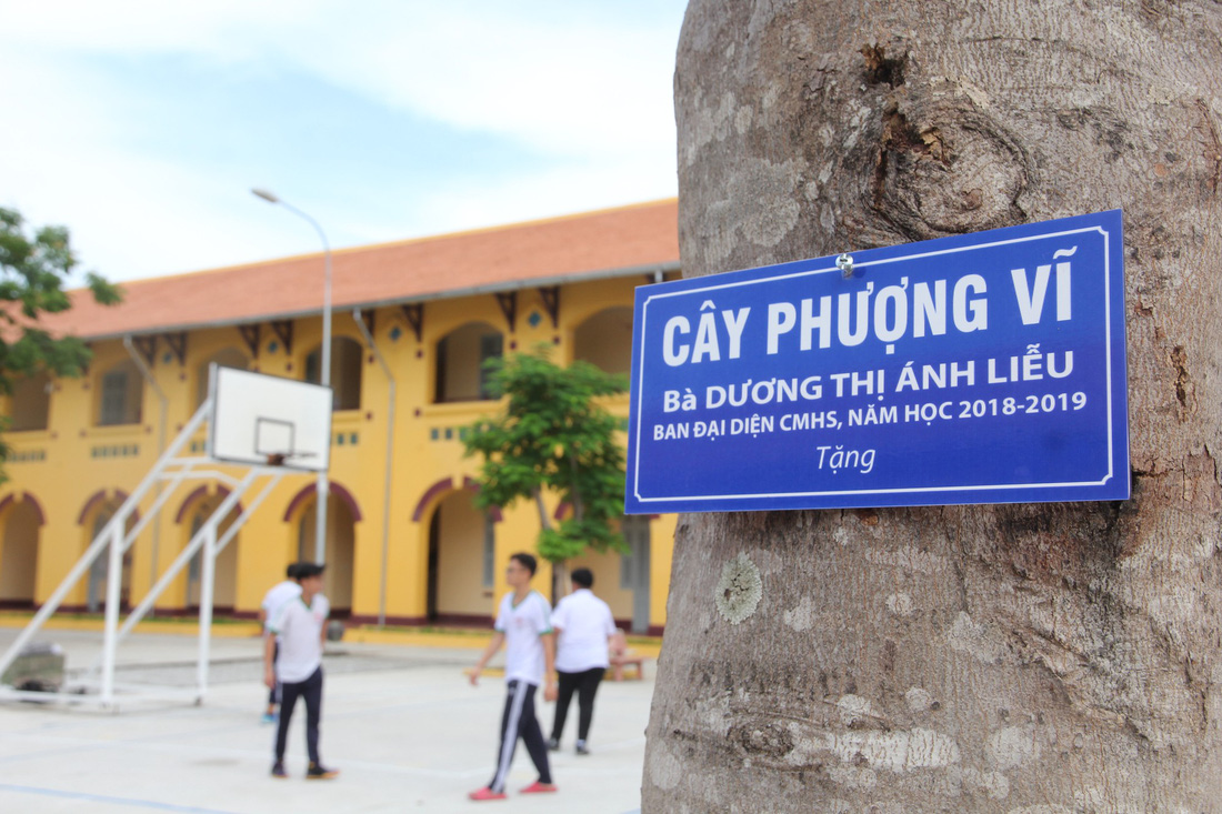 Trường trăm tuổi Châu Văn Liêm trước và sau khi mặc áo mới - Ảnh 15.