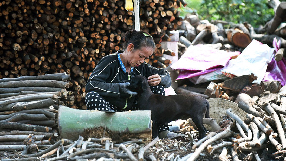 Mót củi giữa phố - Ảnh 6.