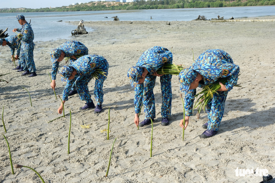 4.000 cán bộ, chiến sĩ hải quân cùng nhau làm sạch biển Cam Ranh - Ảnh 9.