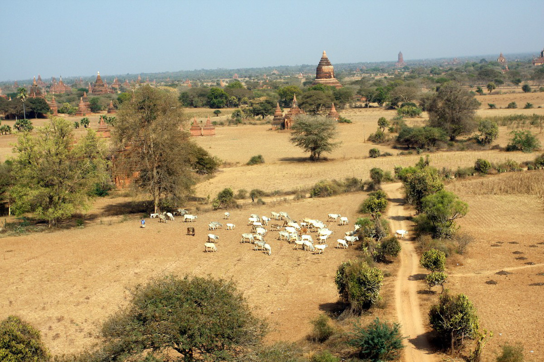 Những ngôi đền ngạo nghễ với thời gian ở cố đô Bagan - Ảnh 4.