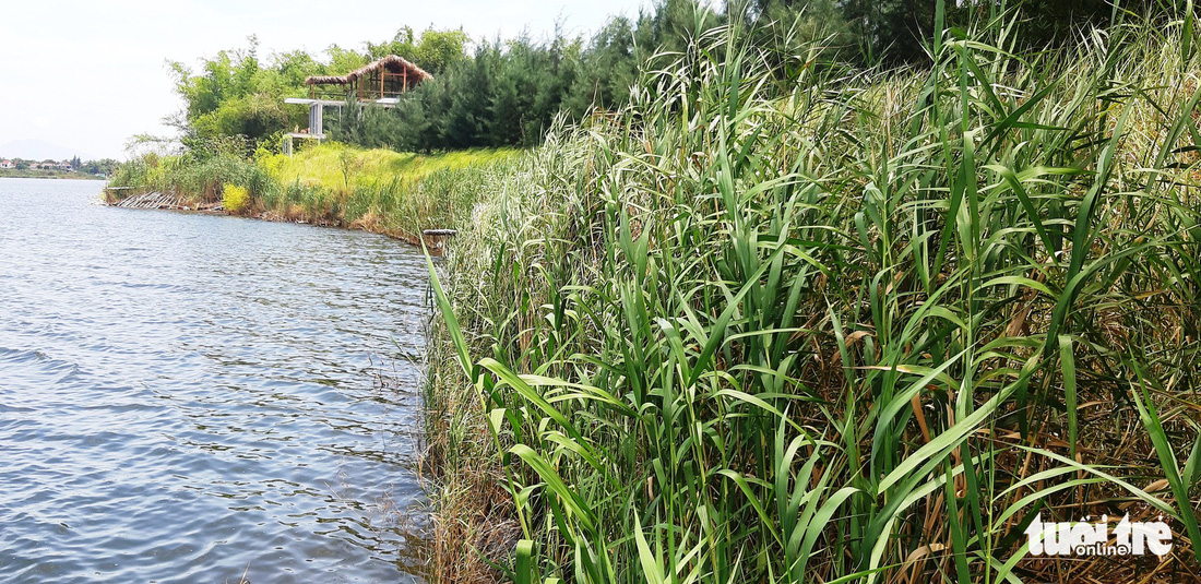 Làng tre Triêm Tây mát rượi bên sông, cách Hội An chỉ 2km - Ảnh 8.