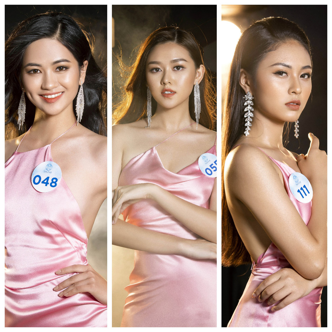 Ngắm nhan sắc chung khảo phía Bắc Miss World Việt Nam 2019 - Ảnh 3.