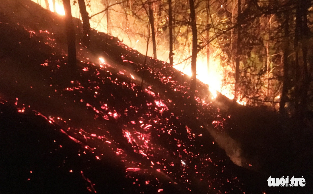 Suốt đêm cứu rừng cháy đỏ đất đỏ trời ở Hà Tĩnh - Ảnh 7.