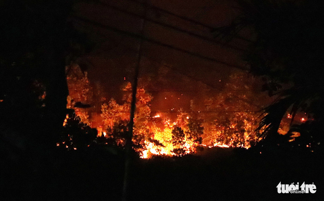 Suốt đêm cứu rừng cháy đỏ đất đỏ trời ở Hà Tĩnh - Ảnh 4.