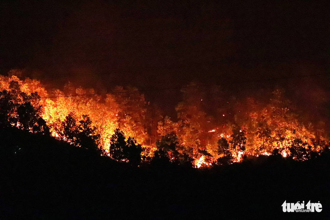 Suốt đêm cứu rừng cháy đỏ đất đỏ trời ở Hà Tĩnh - Ảnh 3.