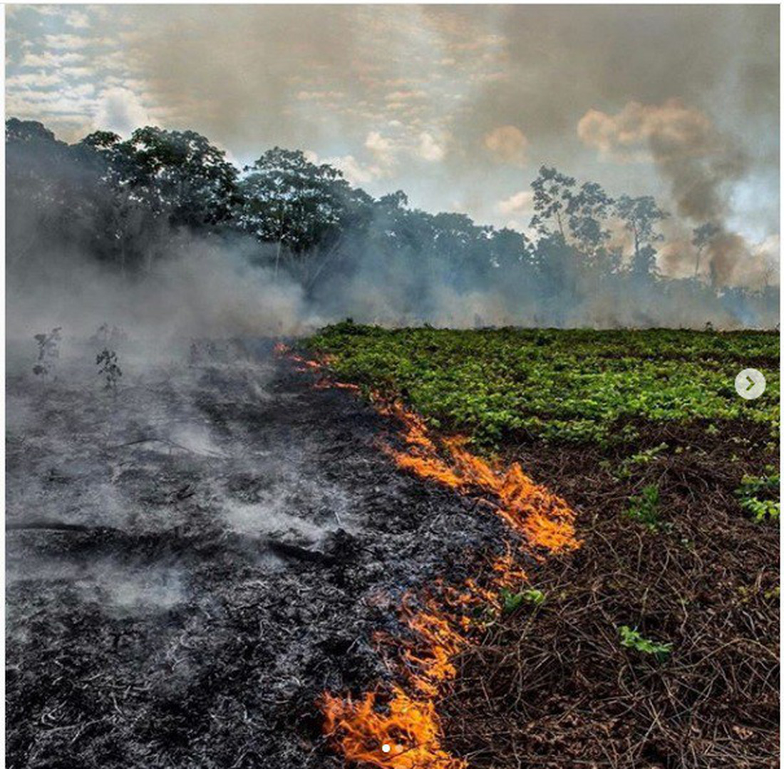 Cháy rừng Amazon: Nguyên thủ, diễn viên, ca sĩ cũng ‘share’ nhầm ảnh - Ảnh 4.