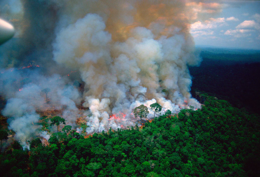 Cháy rừng Amazon: Nguyên thủ, diễn viên, ca sĩ cũng ‘share’ nhầm ảnh - Ảnh 1.