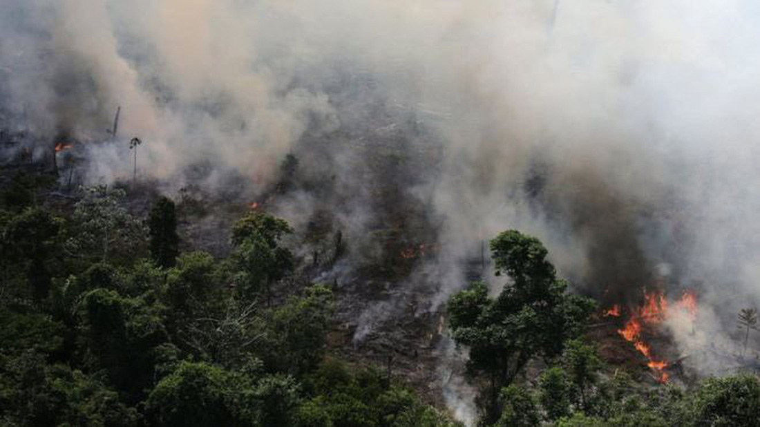 Cháy rừng Amazon: Nguyên thủ, diễn viên, ca sĩ cũng ‘share’ nhầm ảnh - Ảnh 2.