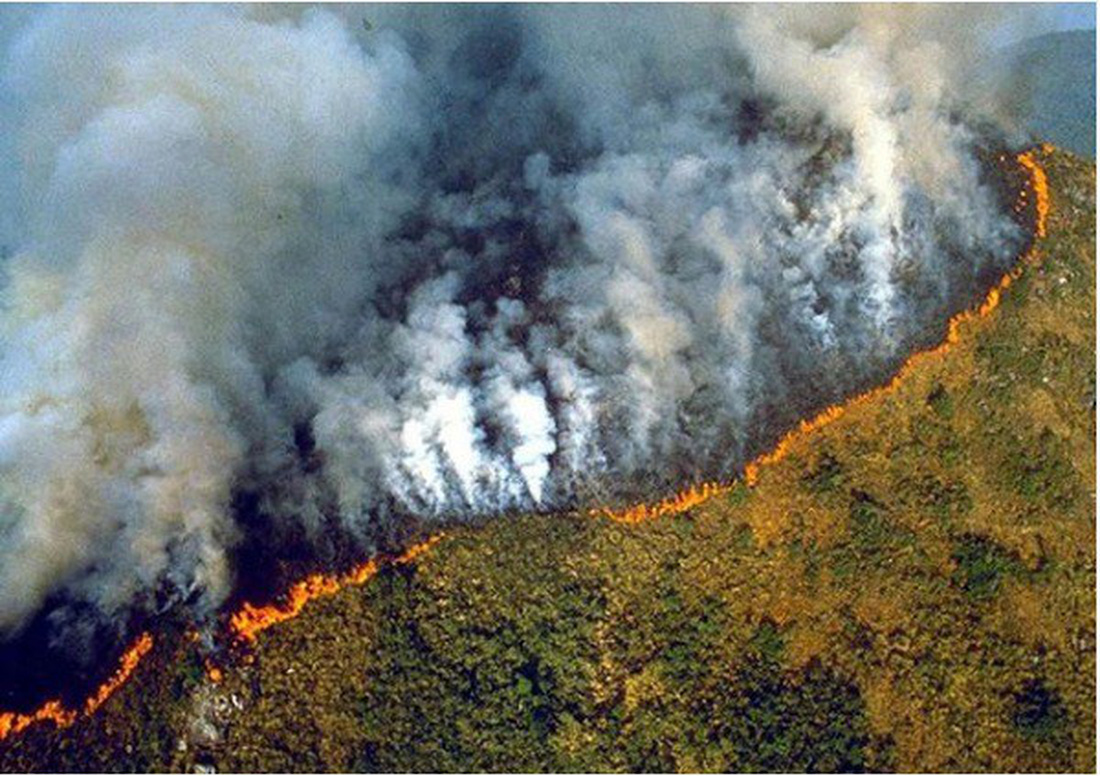 Cháy rừng Amazon: Nguyên thủ, diễn viên, ca sĩ cũng ‘share’ nhầm ảnh - Ảnh 3.