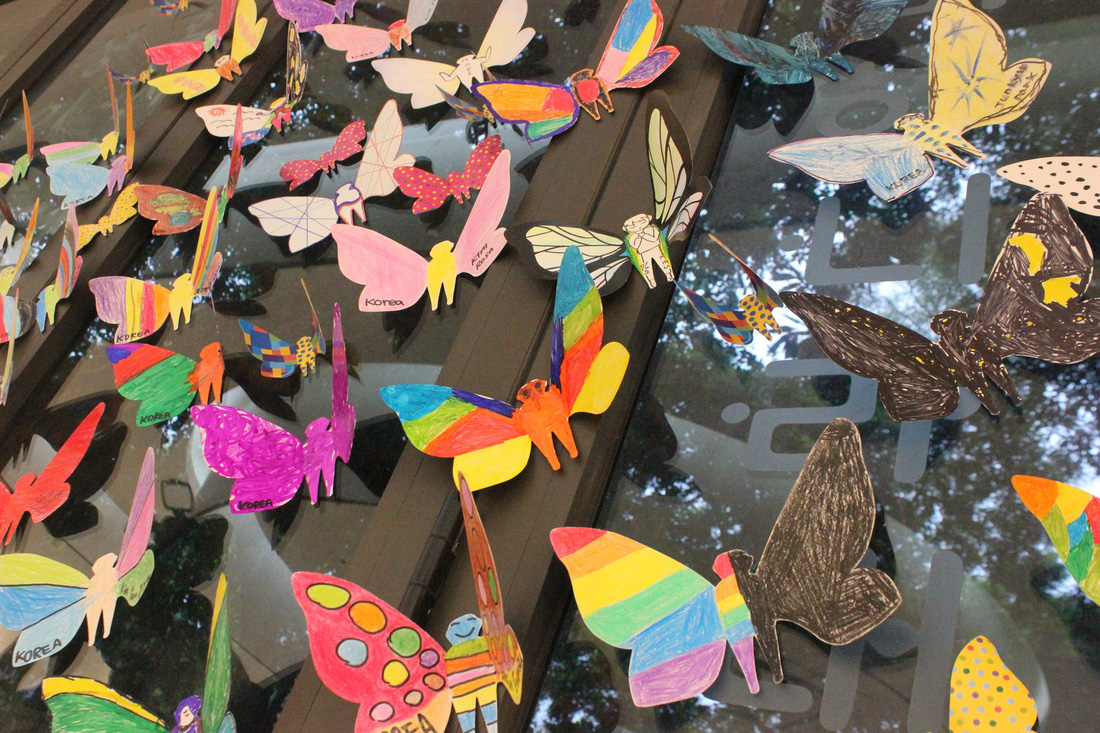 1.300 bươm bướm của những hoàn hảo - khiếm khuyết trong triển lãm ở Hà Nội - Ảnh 5.