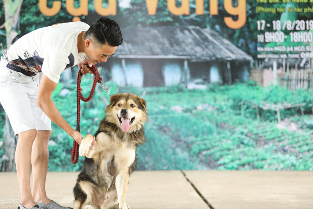 Cậu Vàng của Nam Cao: Phim Việt đầu tiên vai chính là một chú chó - Ảnh 6.