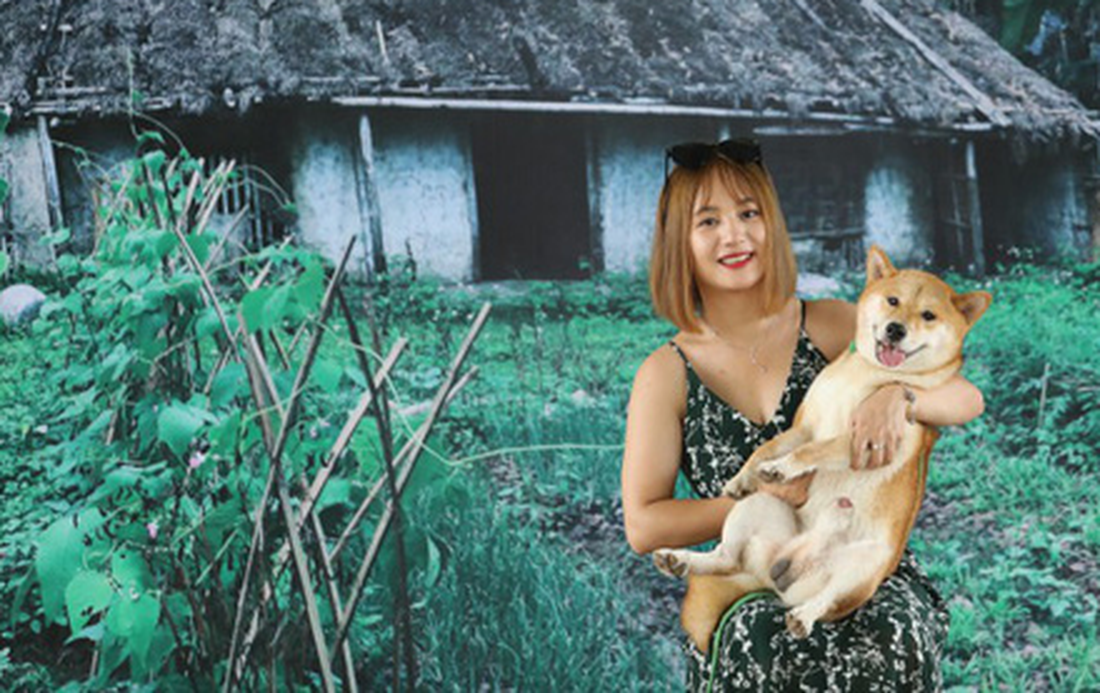 Cậu Vàng của Nam Cao: Phim Việt đầu tiên vai chính là một chú chó - Ảnh 5.