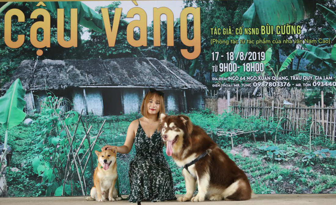 Cậu Vàng của Nam Cao: Phim Việt đầu tiên vai chính là một chú chó - Ảnh 4.