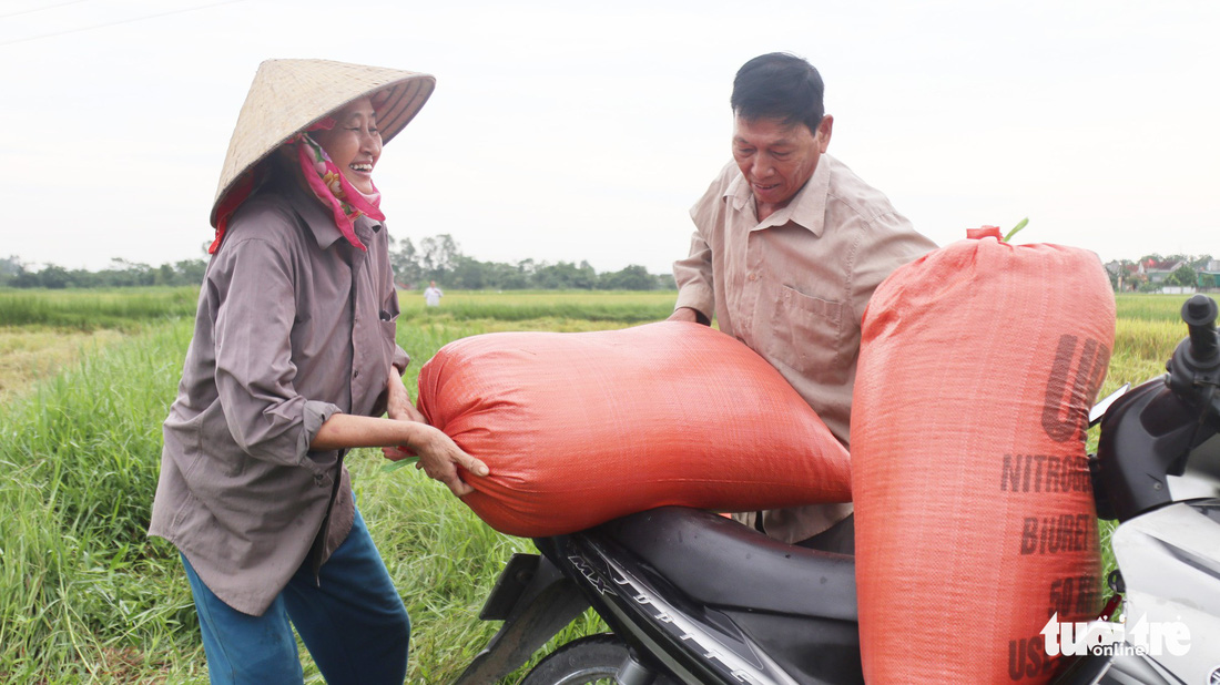 Nông dân Nghệ An hối hả thu hoạch lúa ‘chạy’ bão số 4 - Ảnh 6.