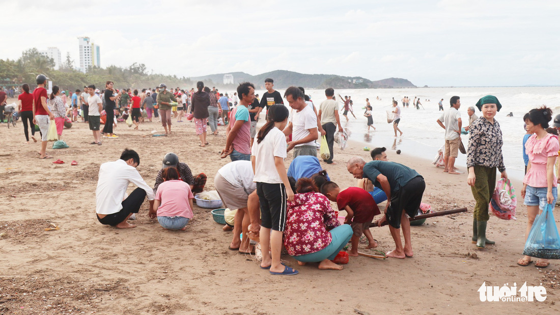 Cả trăm người dân, du khách tụ về bờ biển nhặt sò, ngao sau bão số 4 - Ảnh 2.