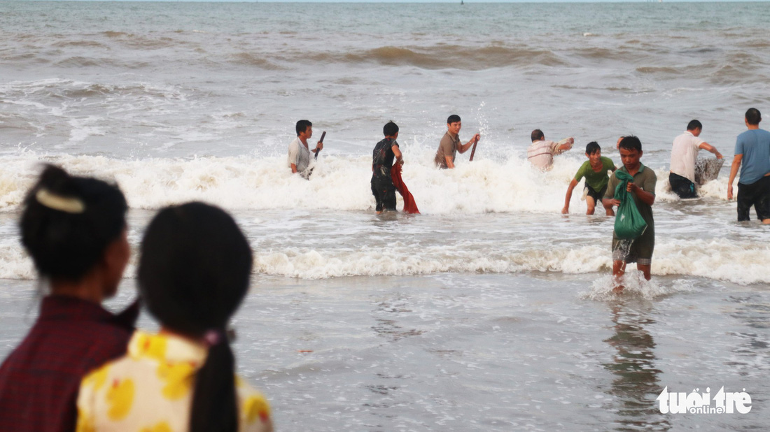 Cả trăm người dân, du khách tụ về bờ biển nhặt sò, ngao sau bão số 4 - Ảnh 5.