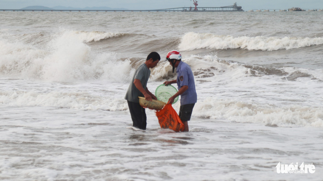 Cả trăm người dân, du khách tụ về bờ biển nhặt sò, ngao sau bão số 4 - Ảnh 9.