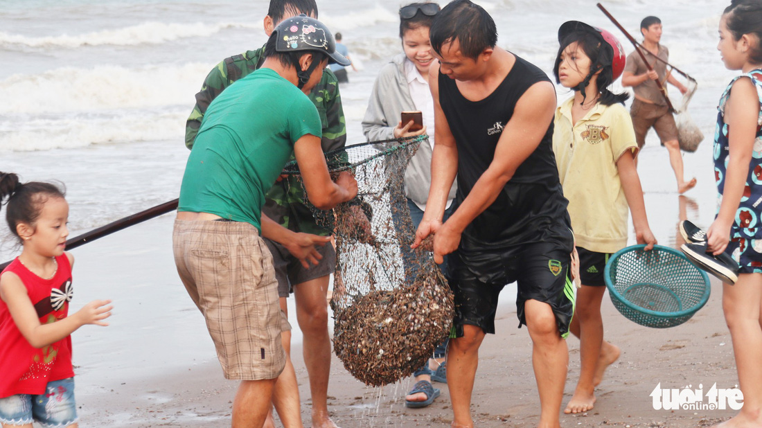 Cả trăm người dân, du khách tụ về bờ biển nhặt sò, ngao sau bão số 4 - Ảnh 8.