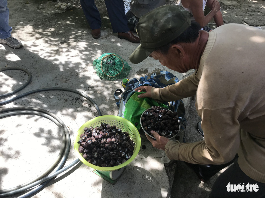 Sủng Cỏ thiên đường hoang sơ nơi cửa vịnh Đà Nẵng - Ảnh 4.