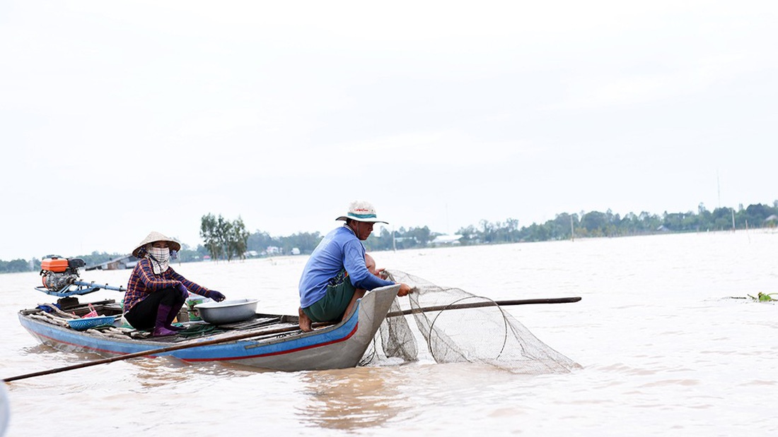 Lũ về trễ, thưa thớt cá tôm - Ảnh 9.