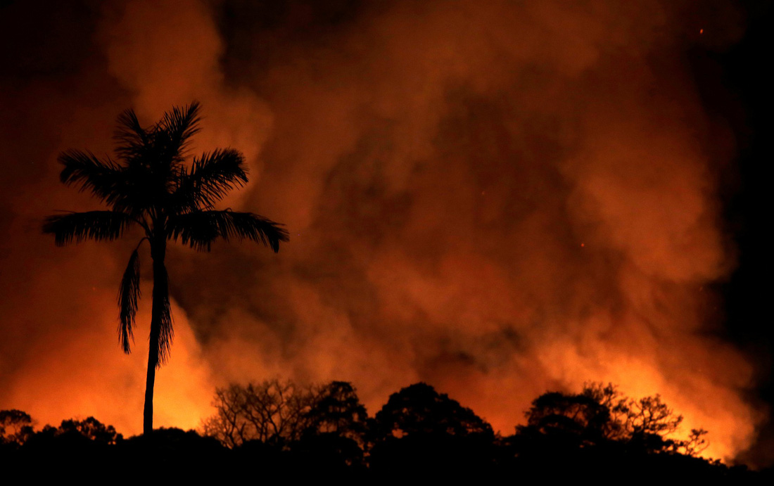 Thêm 2.000 đám cháy mới ở Amazon chỉ sau 2 ngày Brazil cấm đốt rừng - Ảnh 2.