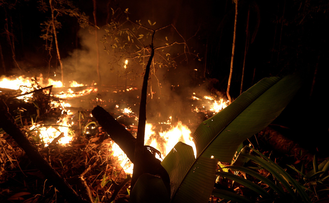 Thêm 2.000 đám cháy mới ở Amazon chỉ sau 2 ngày Brazil cấm đốt rừng - Ảnh 3.