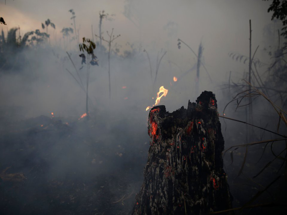 Thêm 2.000 đám cháy mới ở Amazon chỉ sau 2 ngày Brazil cấm đốt rừng - Ảnh 4.