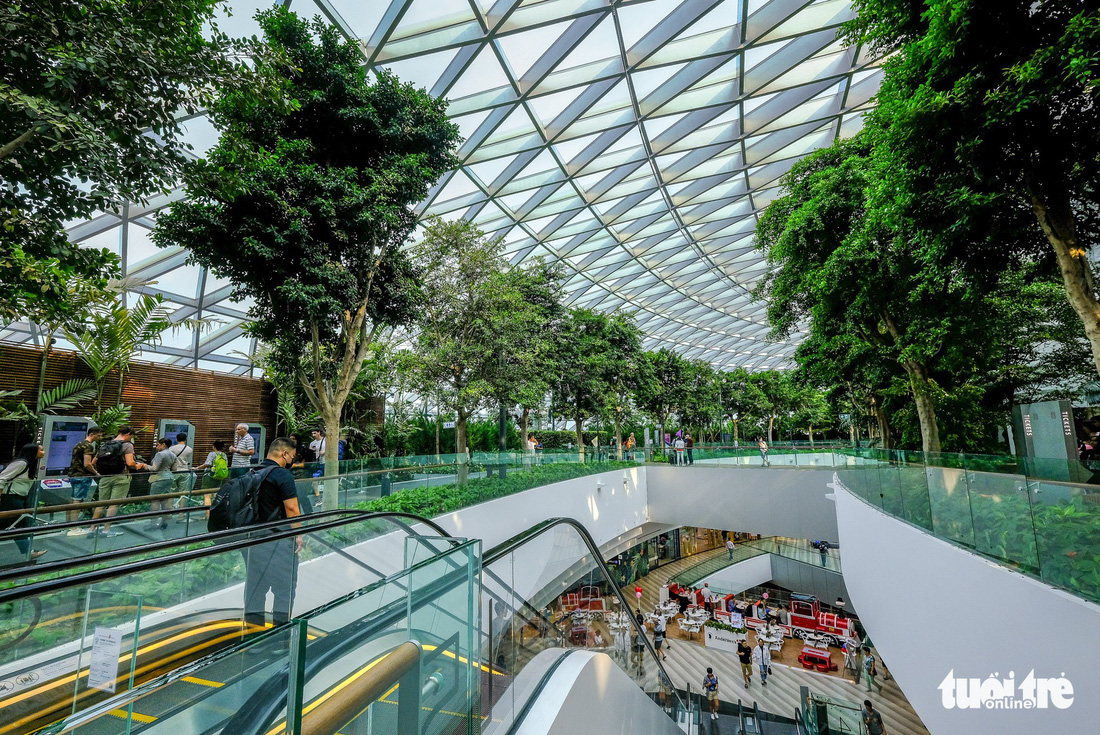 Lạc vào khu rừng bên trong sân bay Changi Singapore - Ảnh 4.