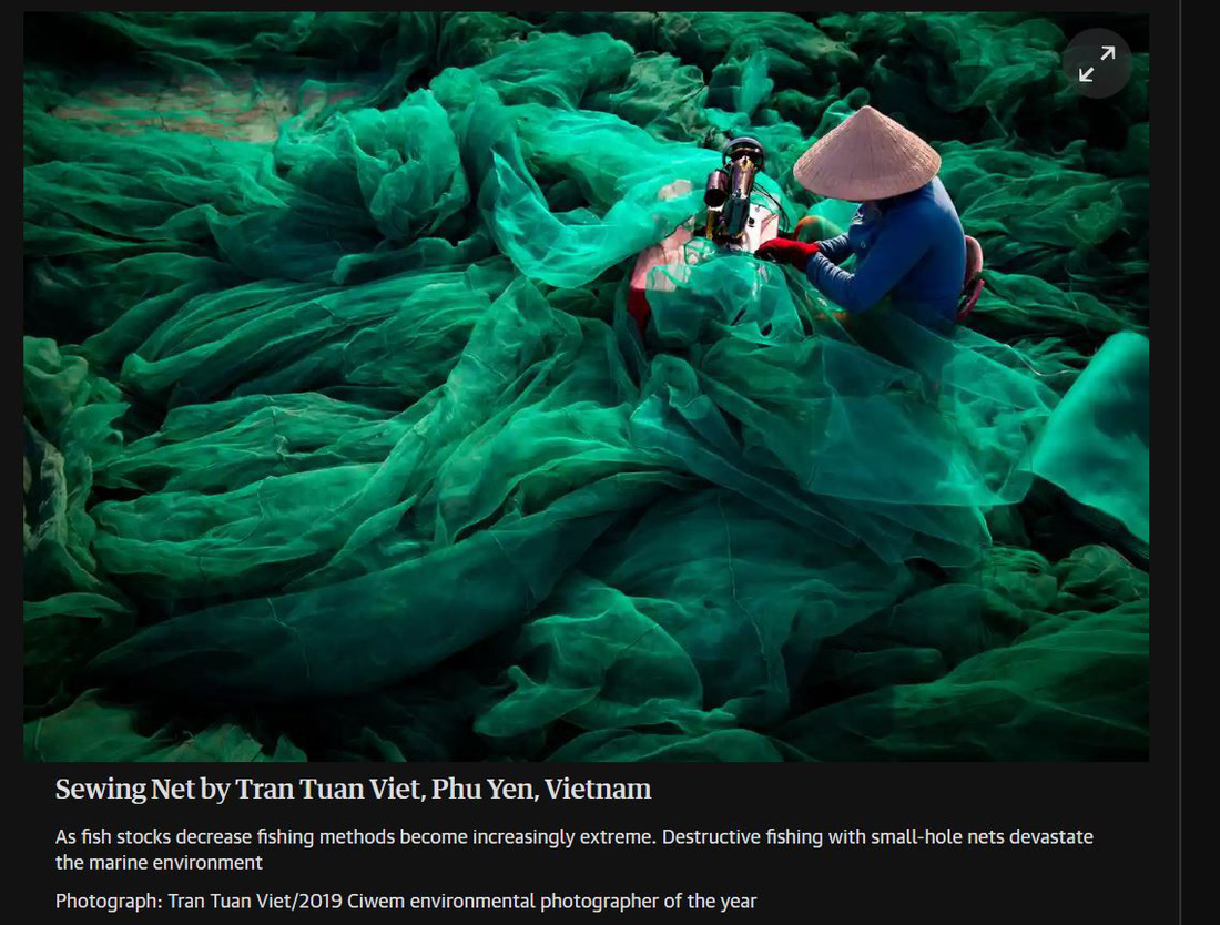 Thông điệp đáng lo sau bức ảnh Việt Nam tại cuộc thi ảnh môi trường thế giới - Ảnh 2.