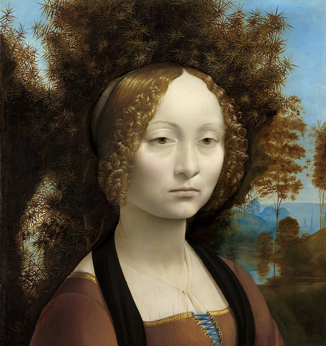 Mật mã Da Vinci trong bức tranh Quý cô và con chồn - Ảnh 6.