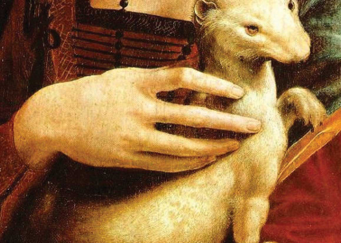 Mật mã Da Vinci trong bức tranh Quý cô và con chồn - Ảnh 4.