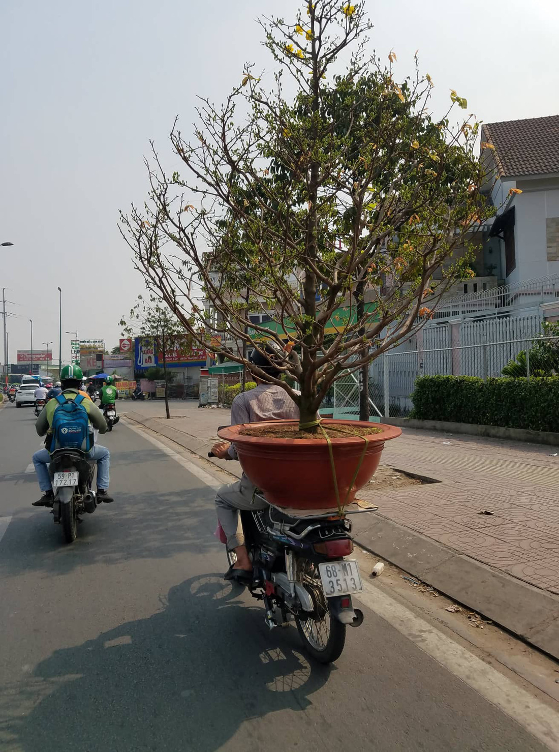 Mai tết Sài Gòn bay đi Hà Nội, Campuchia - Ảnh 4.