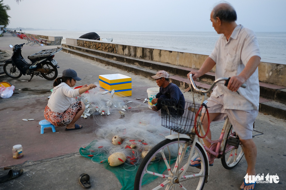 Nhớ quá con cá mòi tươi rói vùng biển ngang miền Trung - Ảnh 2.