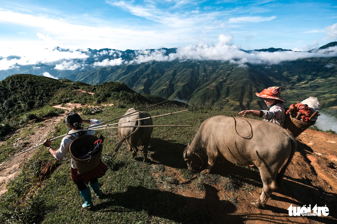 Biển mây ôm núi, vờn gió ở Háng Đồng - Ảnh 5.