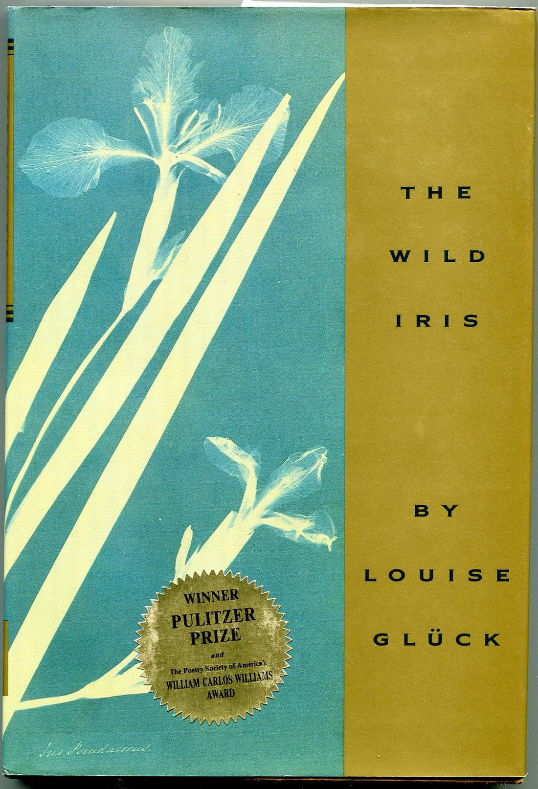 Louise Glück - Nobel văn chương 2020 - Nhà thơ của sự đổi thay và tái sinh cực đoan - Ảnh 4.