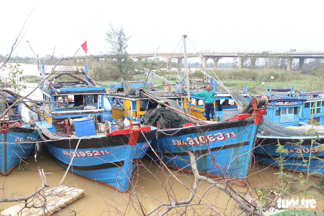 Ngư dân Đà Nẵng đưa thuyền vào sâu sông Hàn, nhường chỗ cho tàu tỉnh bạn trú bão - Ảnh 2.