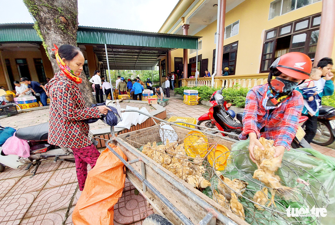 Bà con vùng lũ Hà Tĩnh vui mừng nhận gà giống - Ảnh 4.