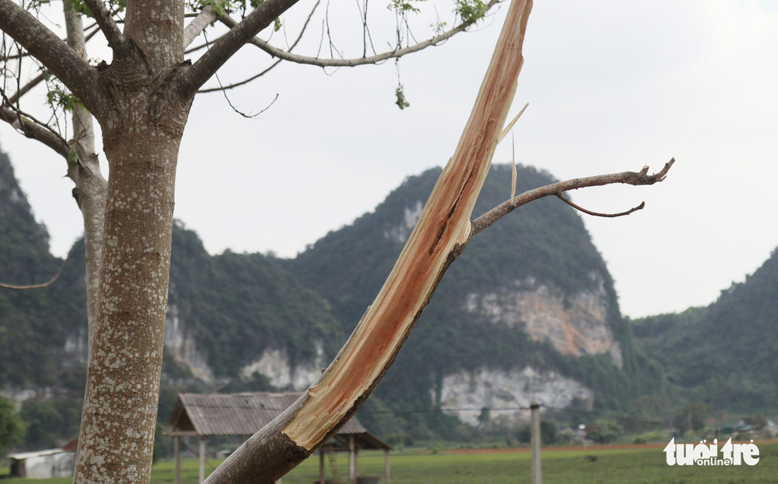 Mỏ đá nổ mìn, đá rơi ‘như mưa’ vào nhà dân - Ảnh 9.