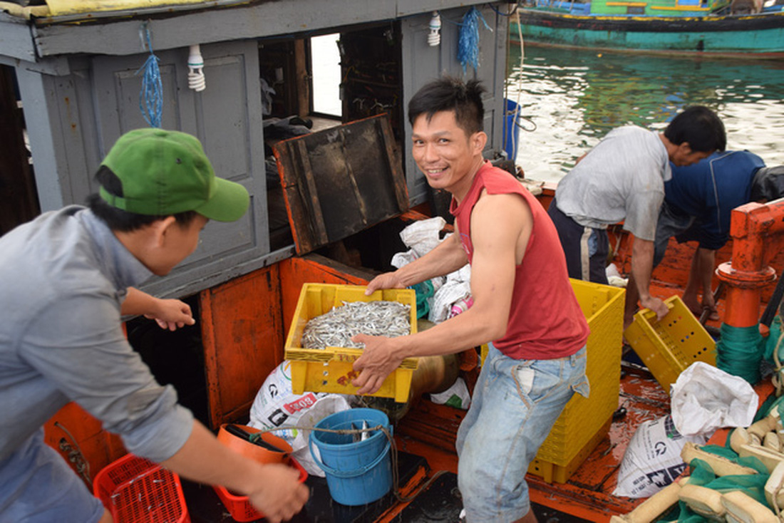 Tàu cập bến, ngư dân Quảng Nam phấn khởi bởi trúng mùa cá cơm - Ảnh 5.