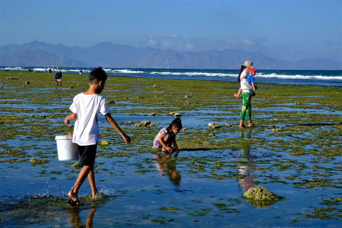 Chiêm ngưỡng bãi rêu xanh tuyệt đẹp ở Ninh Thuận - Ảnh 6.