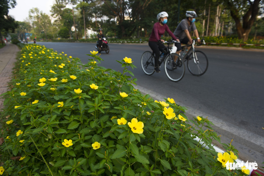 Sài Gòn những ngày không kẹt xe, không chen lấn và ít khói bụi - Ảnh 4.