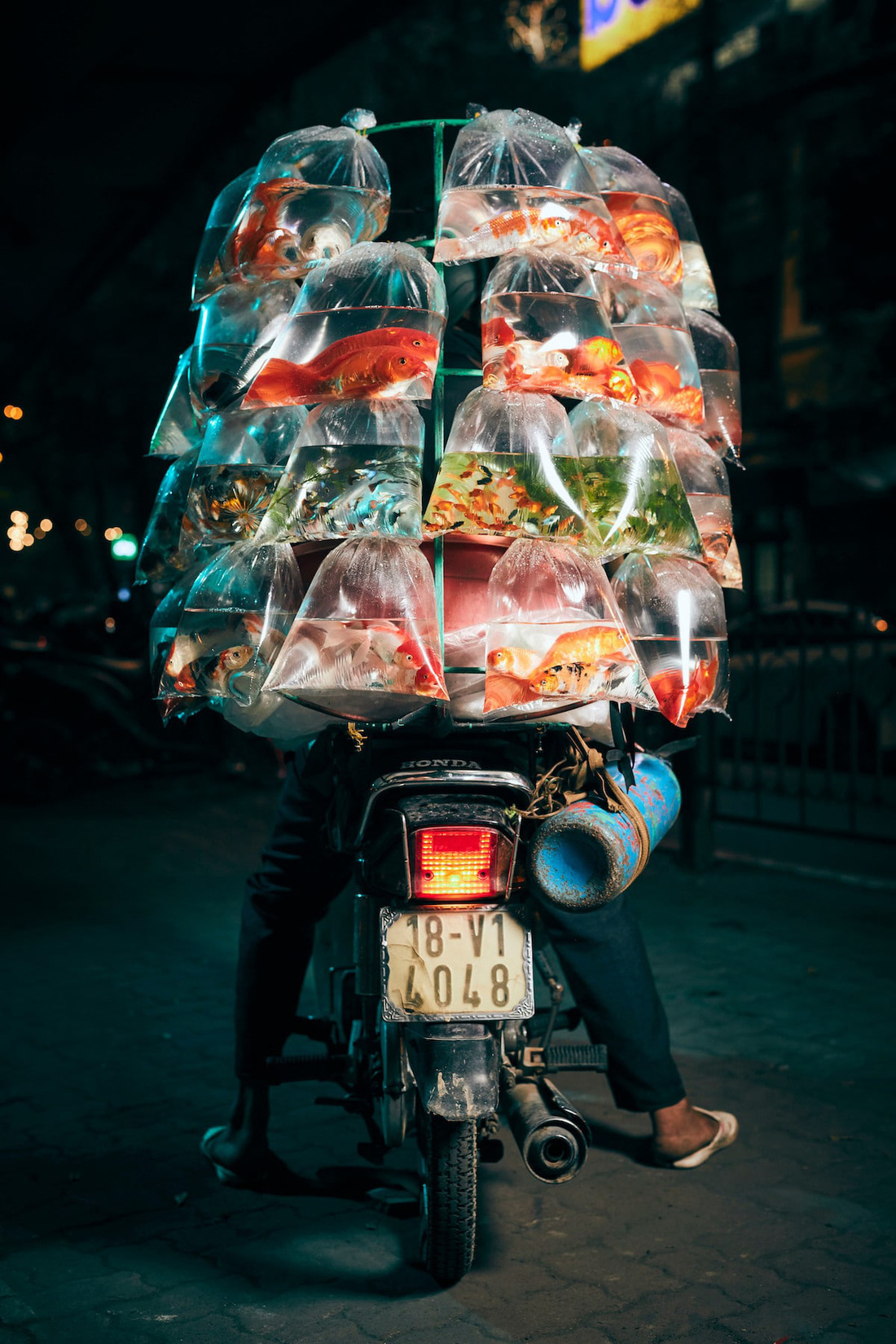 Xe bán cá cảnh rong ở Việt Nam chiến thắng giải ảnh tại Mỹ - Ảnh 1.