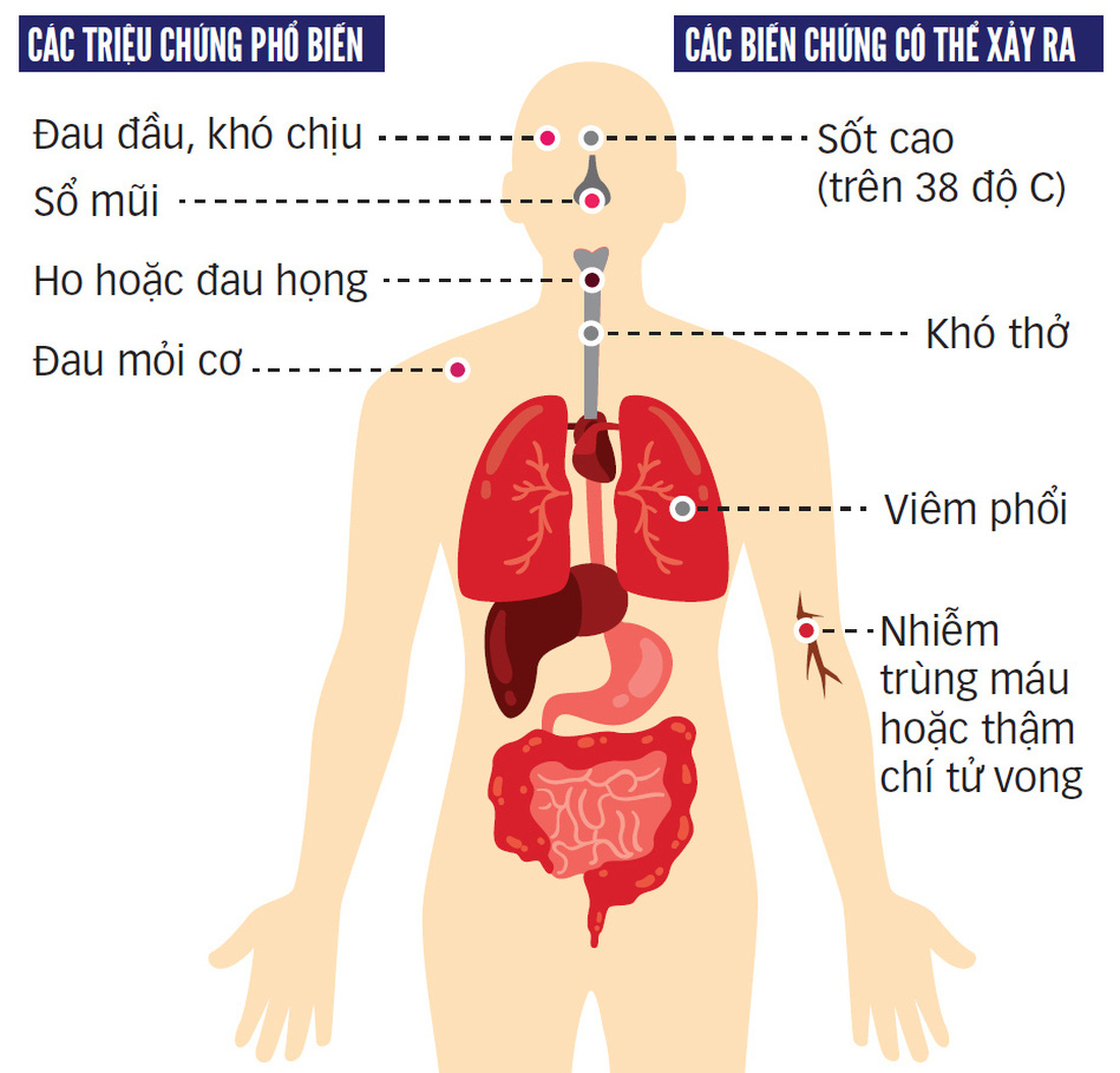 10 người dân Việt Nam hiến phổi cứu phi công Anh, ngành y tìm nguồn từ người chết não - Ảnh 3.